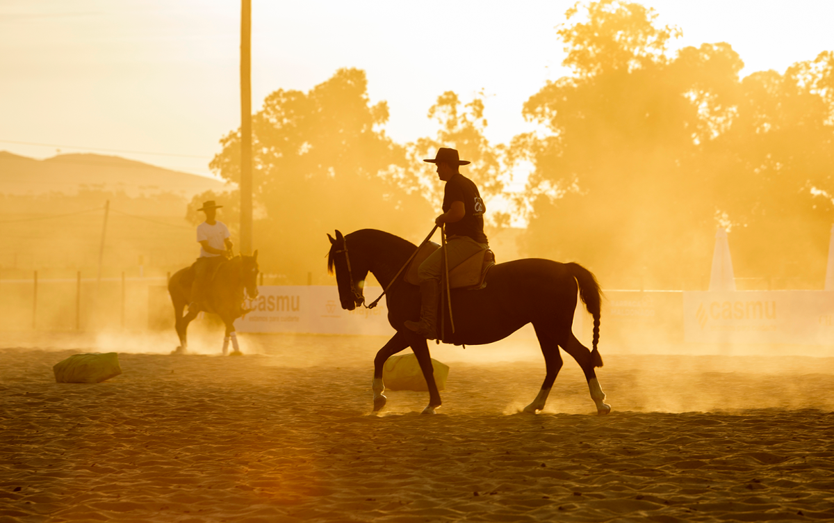 Planejamento Nutricional para Cavalos de Performance